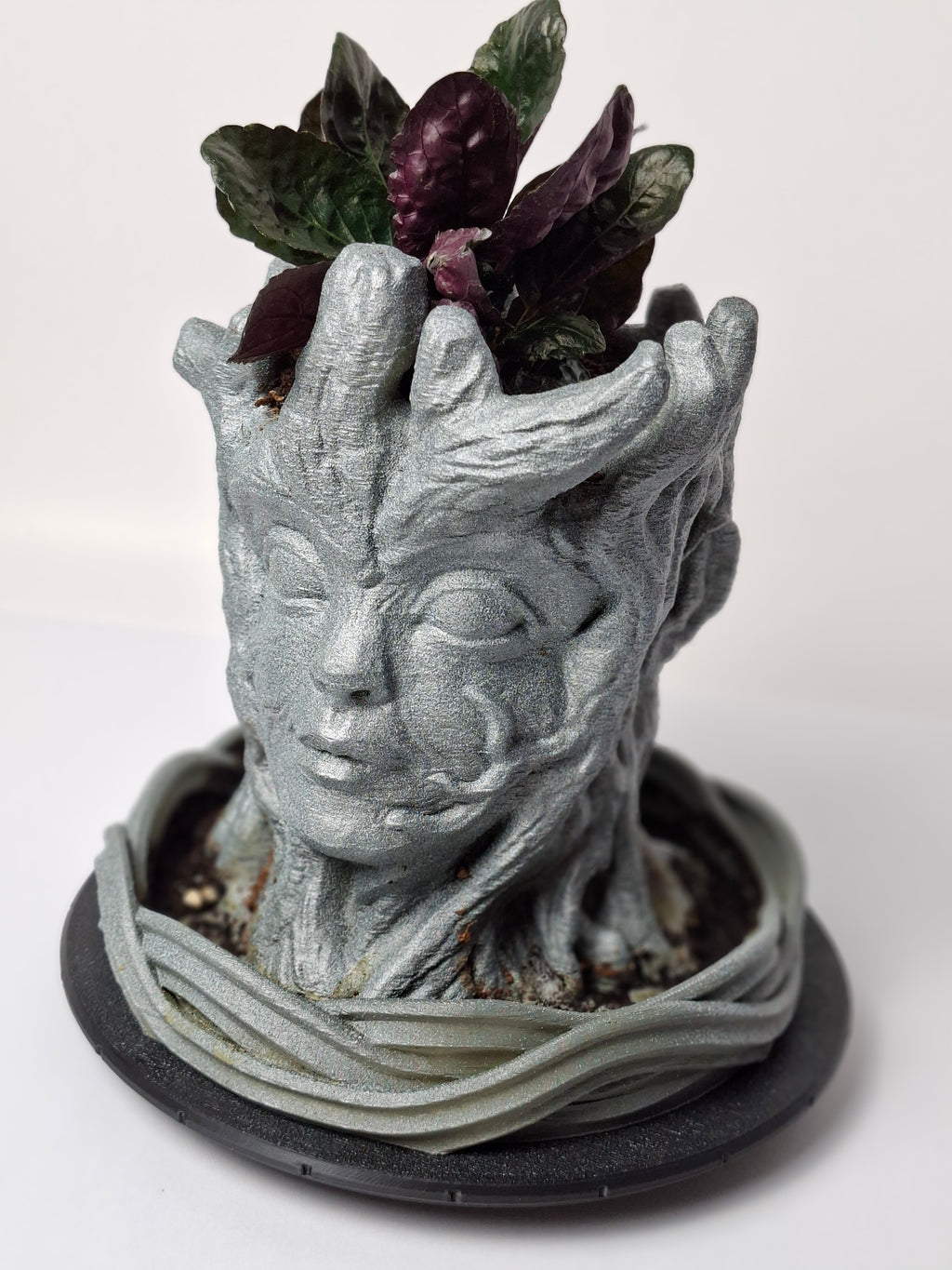 Woodland Face Pot with Drip Tray
